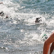 מים פתוחים אילת נובמבר 2008 139